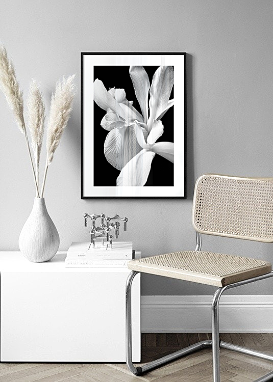 Fekete-fehér liliom fotó poszter