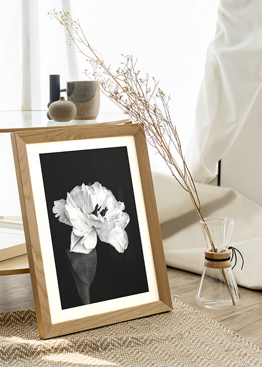 Fehér virág fotó poszter
