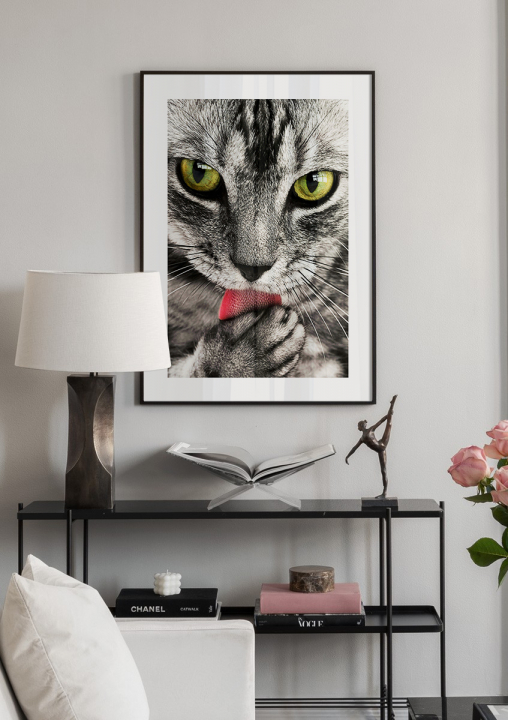 Cica állatos fotó poszter