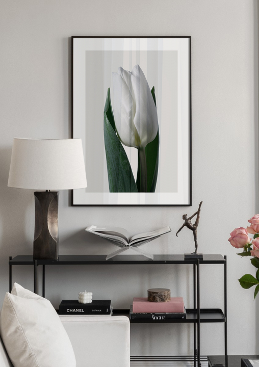 Fehér tulipán - virág fotó poszter