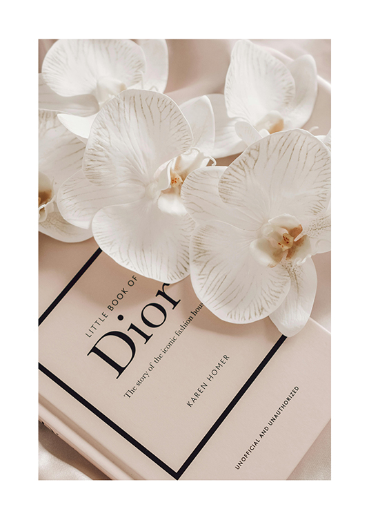 Dior könyv - életstílus divat poszter