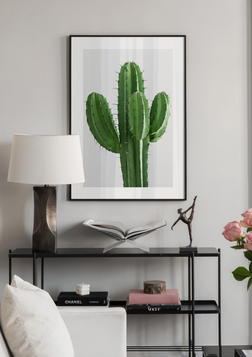 Kaktusz - természet fotó poszter